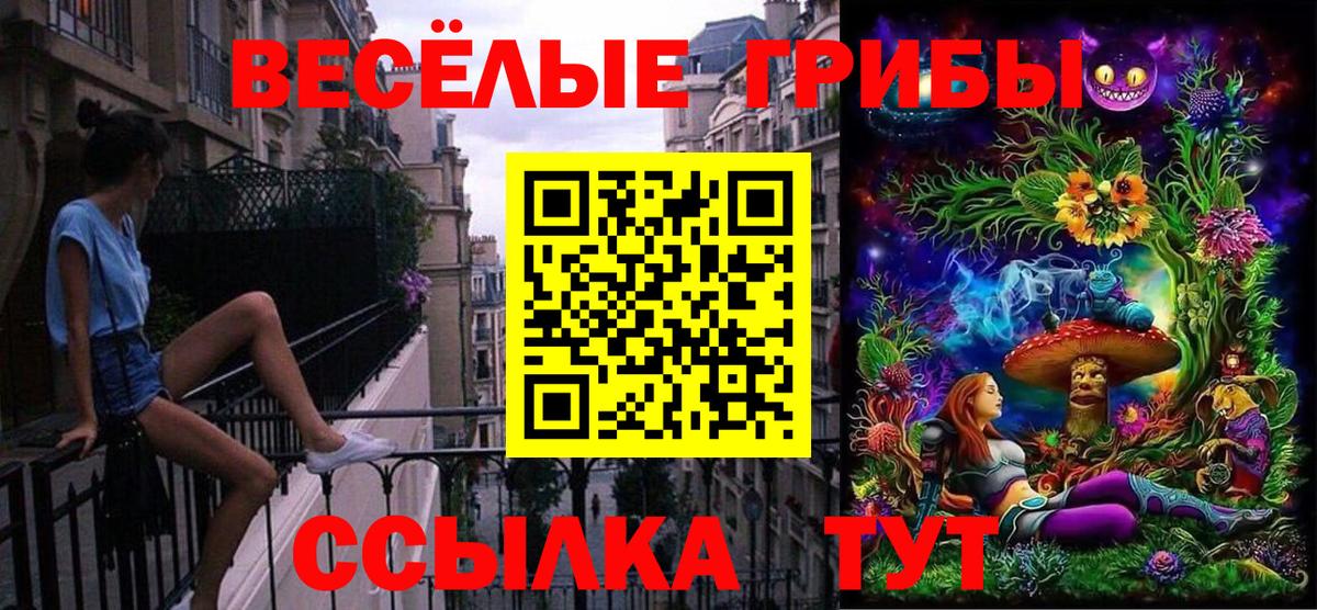 Гусиноозёрск  Псилоцибиновые грибы мухоморы  Вход с VPN 