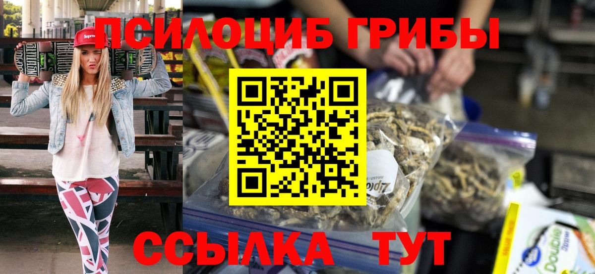 Галлюциногенные грибы Psilocybe Гусиноозёрск